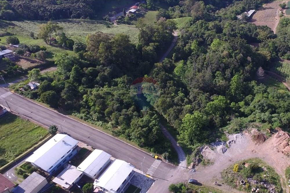 Terreno - Venda - Nova Pádua , Rio Grande do Sul - DJI_00441.jpg - 612551039-219
