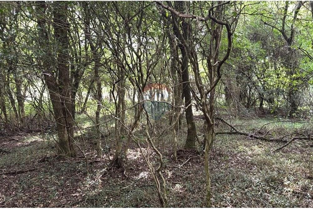 Terreno - Venda - Santa Maria , Rio Grande do Sul - Propriedade Betho.jpg - 610451026-2