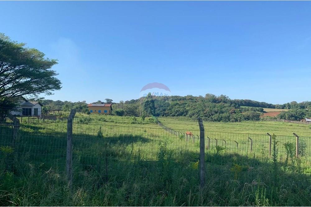 Chácara / Sítio / Fazenda - Venda - Santa Cruz do Sul , Rio Grande do Sul - WhatsApp Image 2025-02-25 at 10.28.24 (5).jpeg - 612741028-20