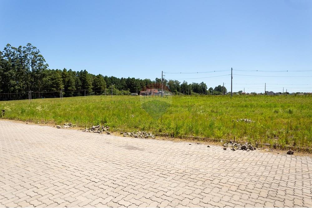 Terreno - Venda - Santa Maria , Rio Grande do Sul - Apto-1.jpg - 610311050-47