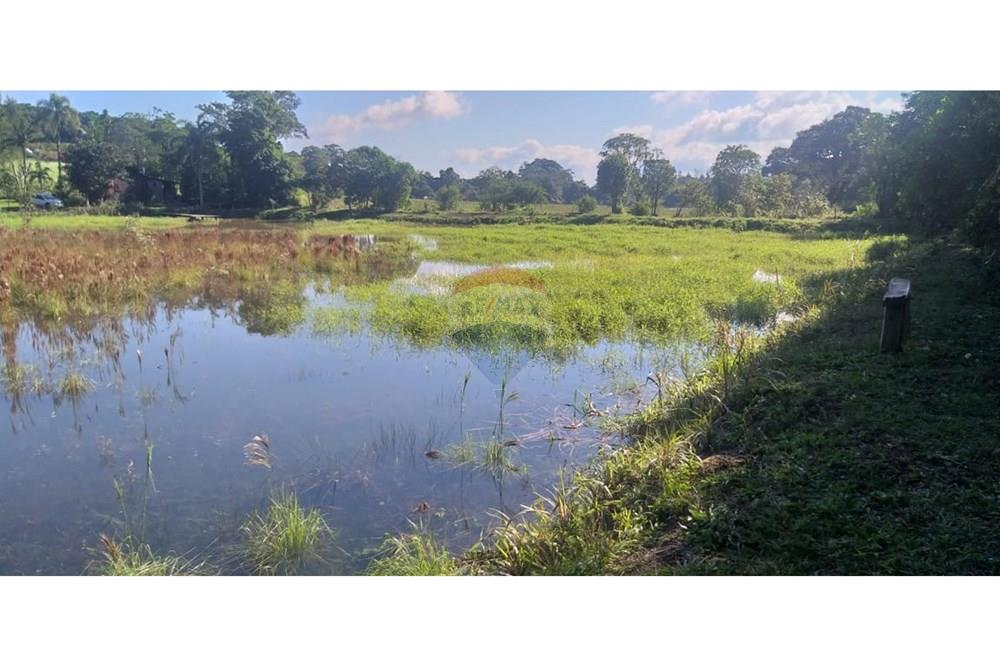 Chácara / Sítio / Fazenda - Venda - Brochier , Rio Grande do Sul - foto 7.jpg - 610091003-74