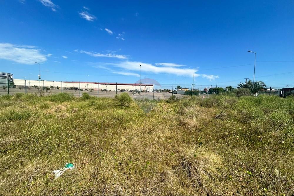 Terreno - Venda - Rio Grande , Rio Grande do Sul - WhatsApp Image 2026-02-12 at 23.43.37.jpeg - 610211007-15