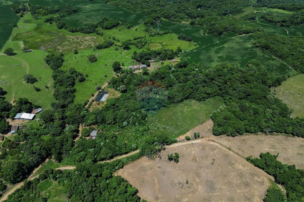 Chácara / Sítio / Fazenda - Venda - Silveira Martins , Rio Grande do Sul - DJI_0821.jpg - 610311058-39