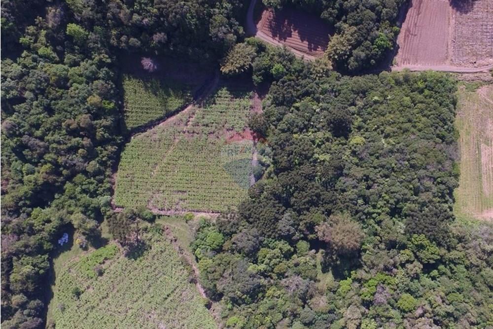 Terreno - Venda - Nova Pádua , Rio Grande do Sul - DJI_00591.jpg - 612551039-219