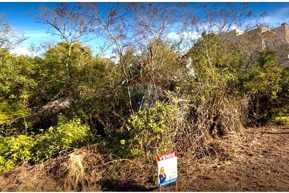 Terreno - Venda - Guaíba , Rio Grande do Sul - Imagem do WhatsApp de 2025-08-28 à(s) 16.10.22_ac54e39a.jpg - 612781019-11