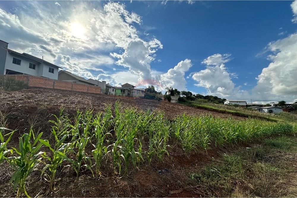 Terreno - Venda - Trindade do Sul , Rio Grande do Sul - WhatsApp Image 2026-03-26 at 10.35.48d.jpeg - 610231001-238
