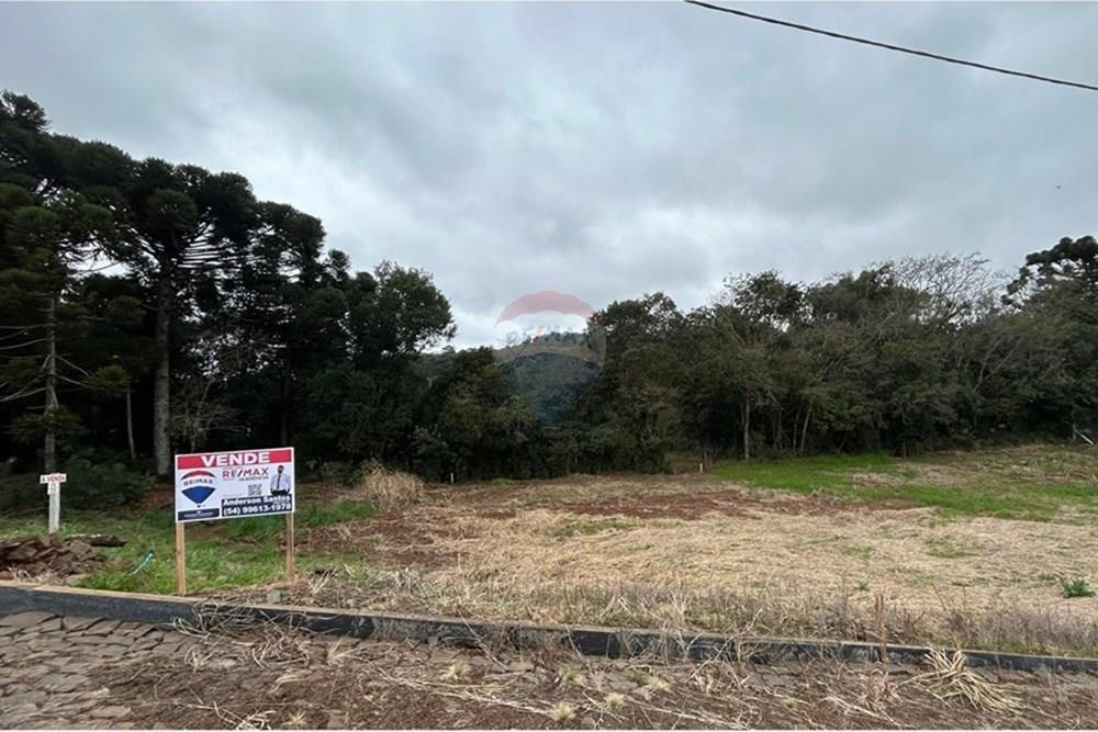 Terreno - Venda - Barão de Cotegipe , Rio Grande do Sul - WhatsApp Image 2025-08-09 at 14.36.36 (5).jpeg - Fachada - 612761035-7