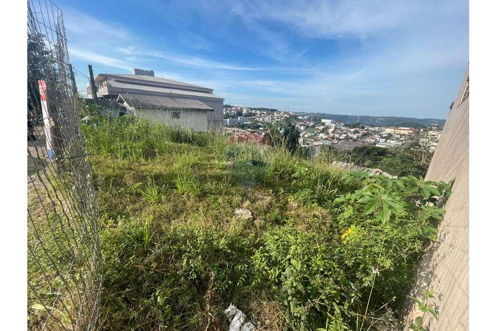 Terreno - Venda - Bento Gonçalves , Rio Grande do Sul - WhatsApp Image 2024-04-27 at 14.25.02.jpeg - 610331008-87