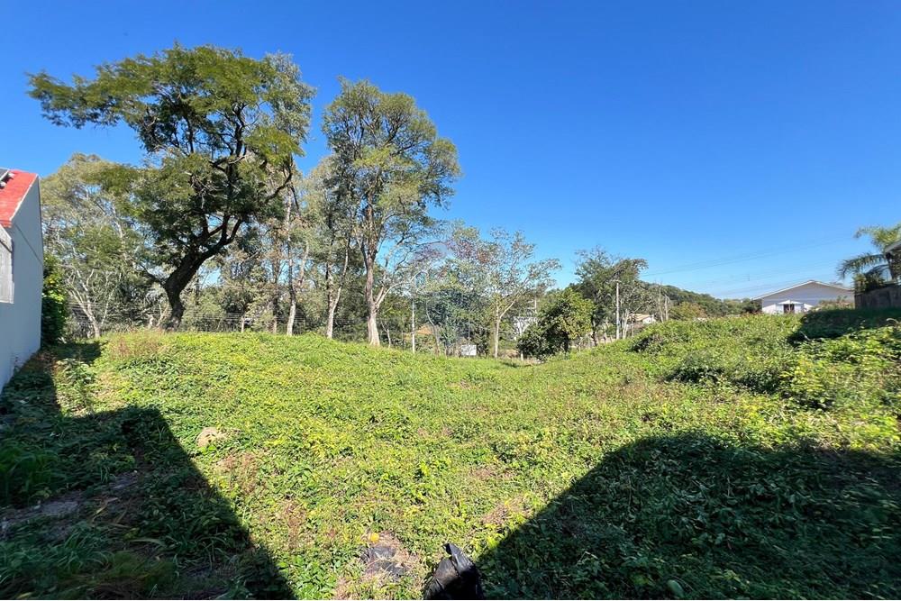 Terreno - Venda - Erechim , Rio Grande do Sul - IMG-20250606-WA0118.jpg - 612761001-45