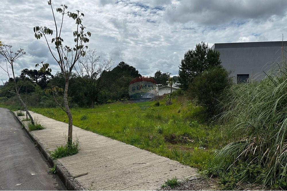 Terreno - Venda - Bento Gonçalves , Rio Grande do Sul - WhatsApp Image 2025-10-07 at 11.32.20 (3).jpeg - 610331038-43