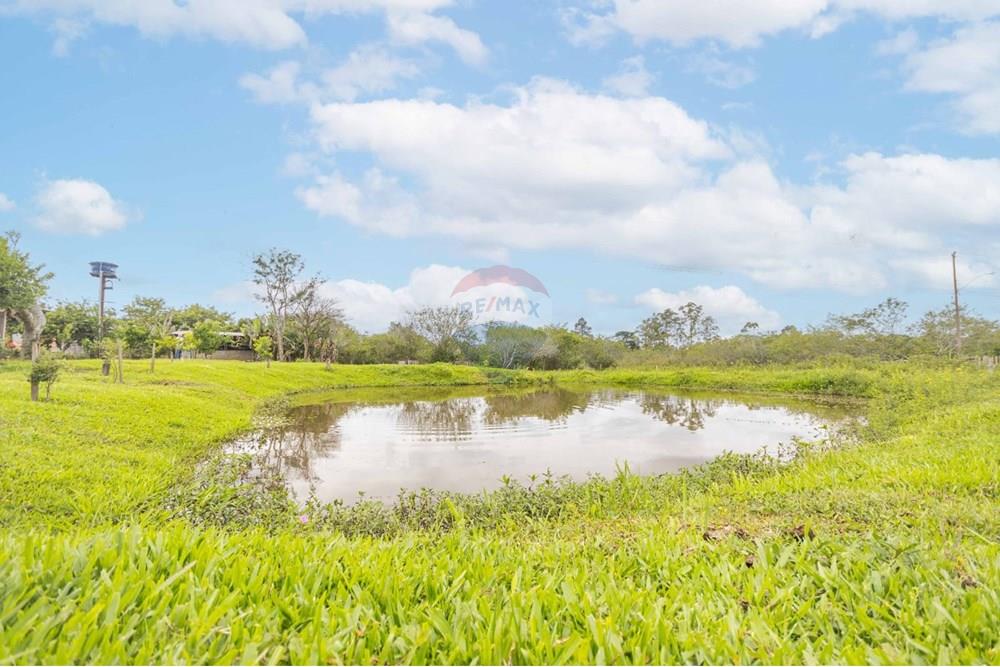 Chácara / Sítio / Fazenda - Venda - Gravataí , Rio Grande do Sul - WhatsApp Image 2025-06-12 at 22.07.05.jpeg - 610381018-3