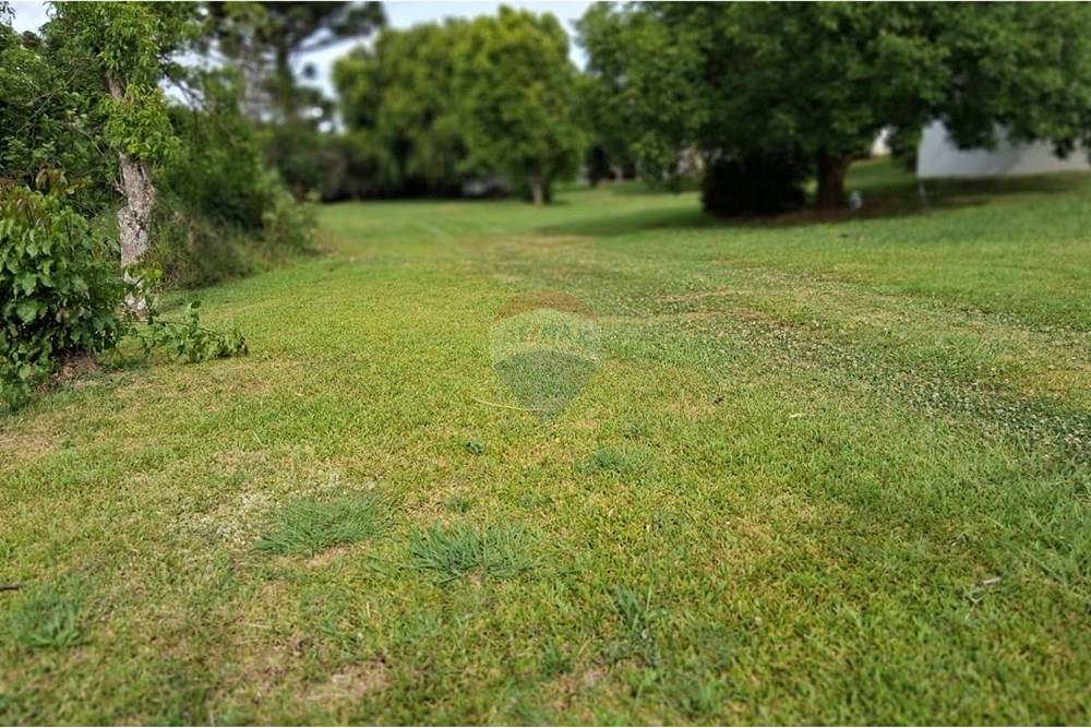 Terreno - Venda - Ibirapuitã , Rio Grande do Sul - WhatsApp Image 2025-12-01 at 16.35.06 (1).jpeg - 610271103-10