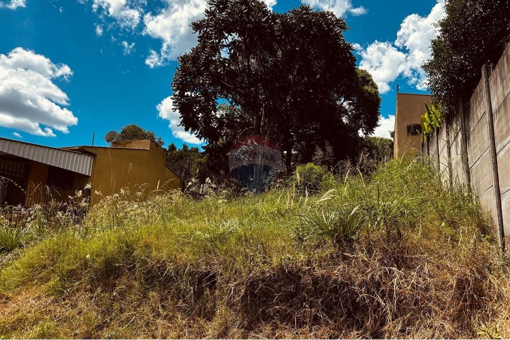 Terreno - Venda - Carazinho , Rio Grande do Sul - WhatsApp Image 2025-02-10 at 15.04.02.jpeg - 612701046-7