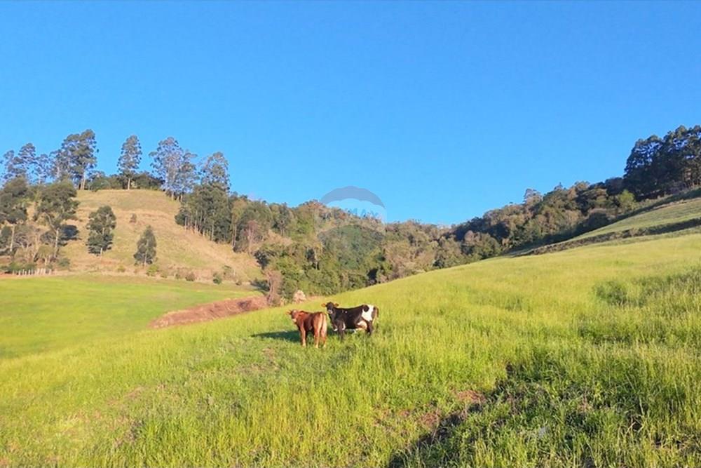 Agro - Venda - Três Palmeiras , Rio Grande do Sul - WhatsApp Image 2025-08-30 at 19.38.27.jpeg - 610231001-208