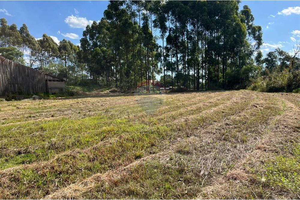 Chácara / Sítio / Fazenda - Venda - Trindade do Sul , Rio Grande do Sul - WhatsApp Image 2024-12-13 at 18.19.33.jpeg - 610231026-29