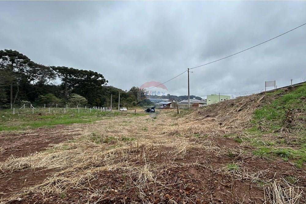 Terreno - Venda - Barão de Cotegipe , Rio Grande do Sul - WhatsApp Image 2025-08-09 at 14.36.35 (1).jpeg - Fachada - 612761035-7