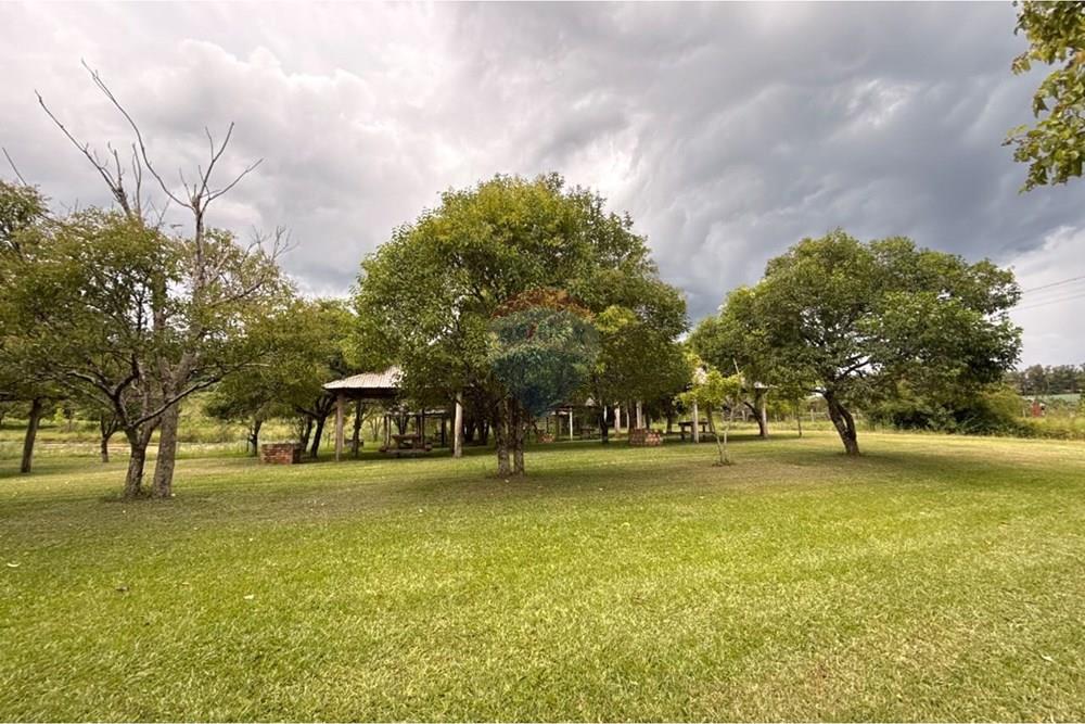 Chácara / Sítio / Fazenda - Venda - Carazinho , Rio Grande do Sul - WhatsApp Image 2026-01-30 at 19.34.14.jpeg - 612701005-32