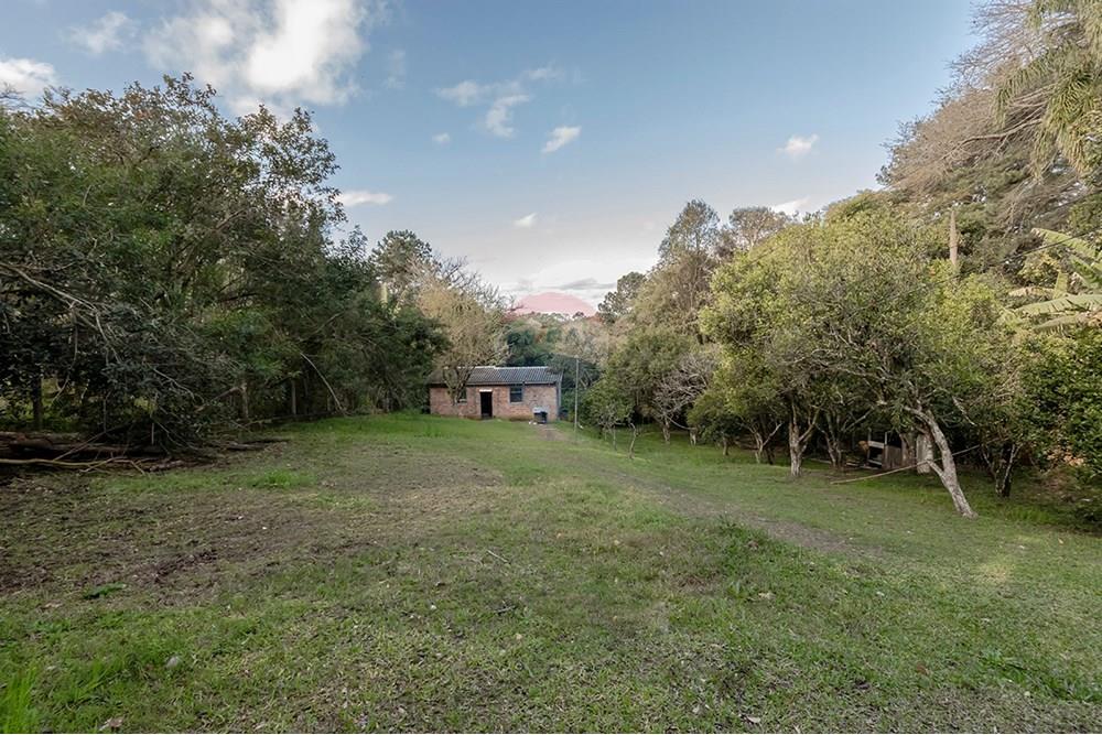 Terreno - Venda - Porto Alegre , Rio Grande do Sul - Fundo 1.jpg - 612521076-4