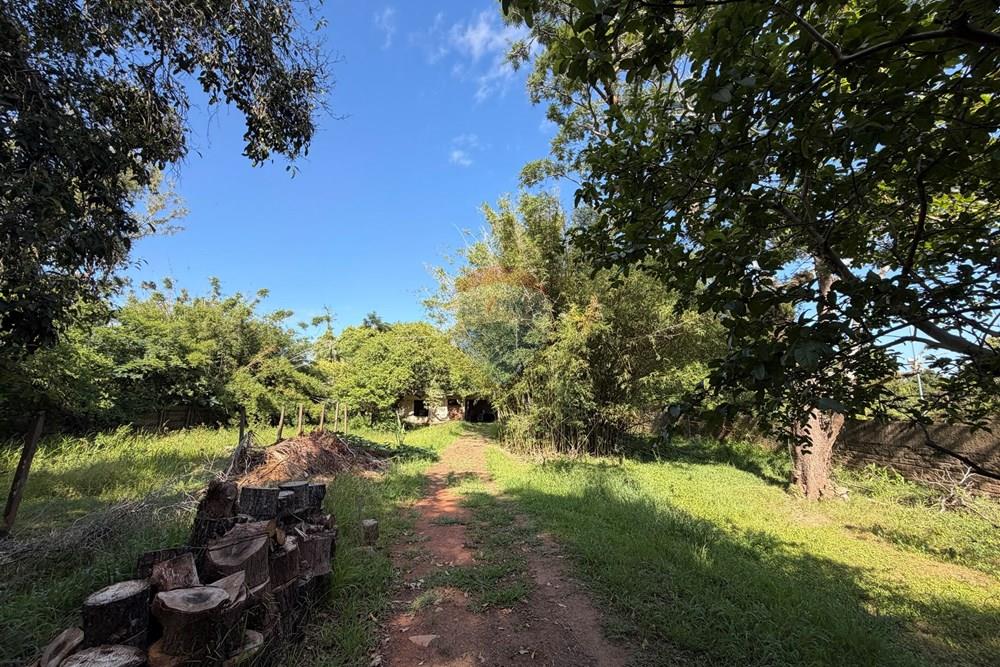 Terreno - Venda - Porto Alegre , Rio Grande do Sul - IMG_3209.jpeg - 612551008-93