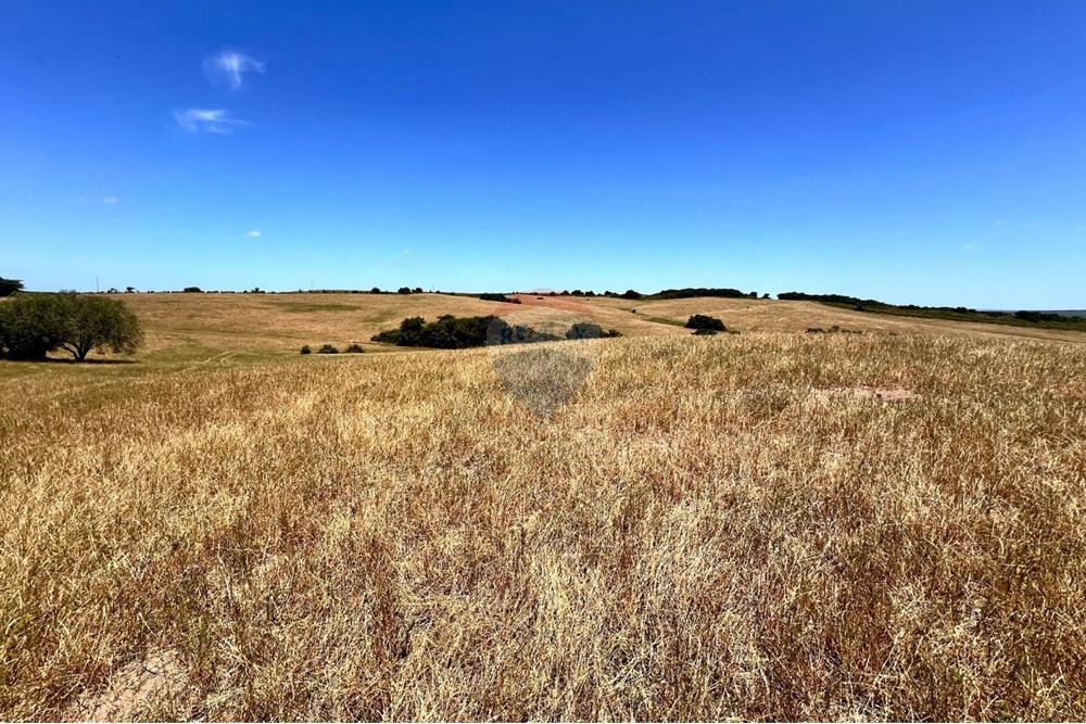 Chácara - Venda - Lavras do Sul , Rio Grande do Sul - WhatsApp Image 2025-01-13 at 22.59.02.jpeg - 612631031-7
