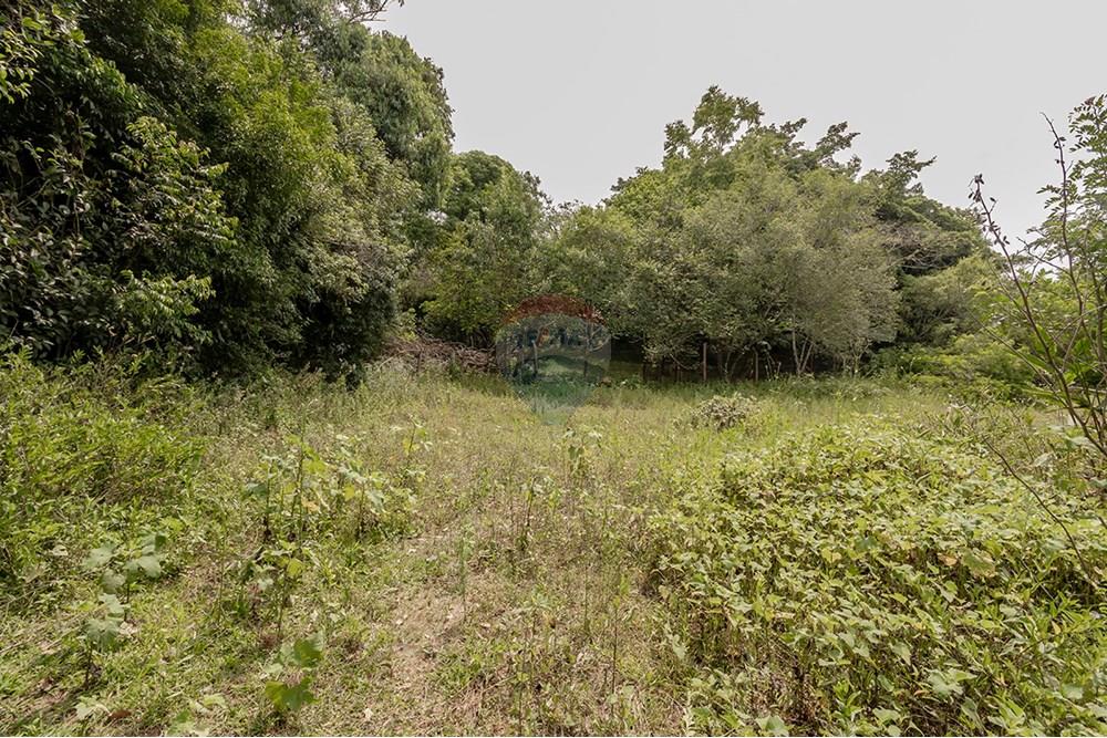 Terreno - Venda - Porto Alegre , Rio Grande do Sul - 0805-272 (8).jpg - 612521075-18