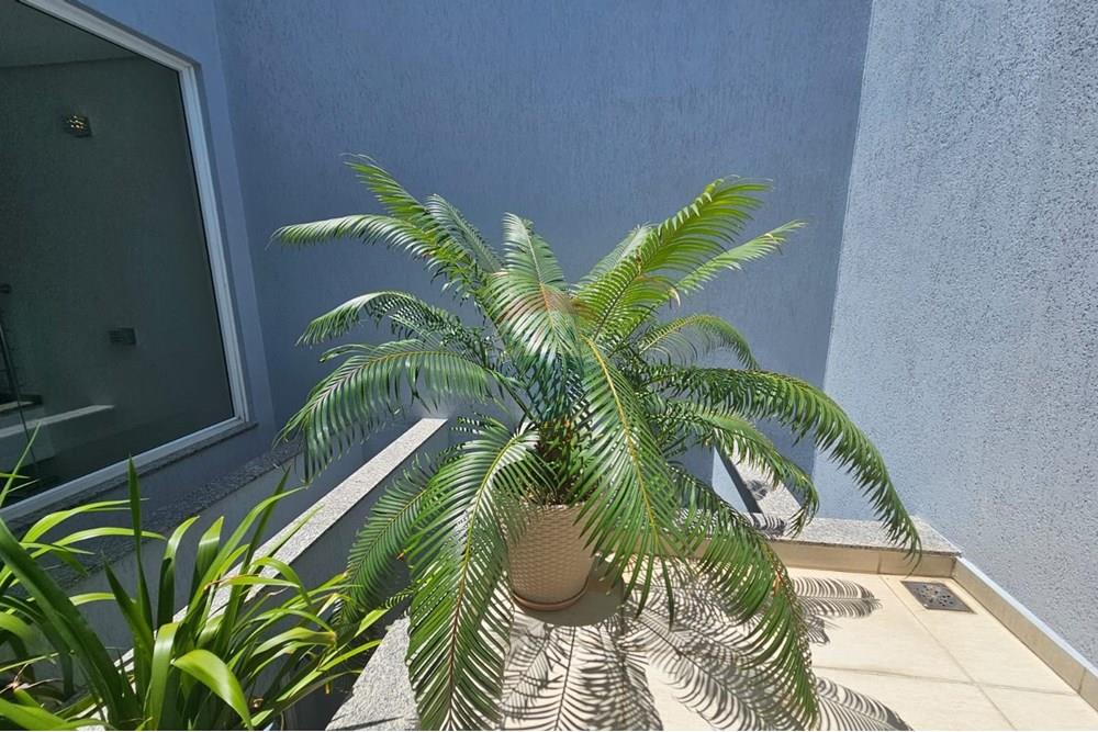 Sobrado - Venda - Esteio , Rio Grande do Sul - WhatsApp Image 2025-01-20 at 16.27.01 (1).jpeg - 612561001-271