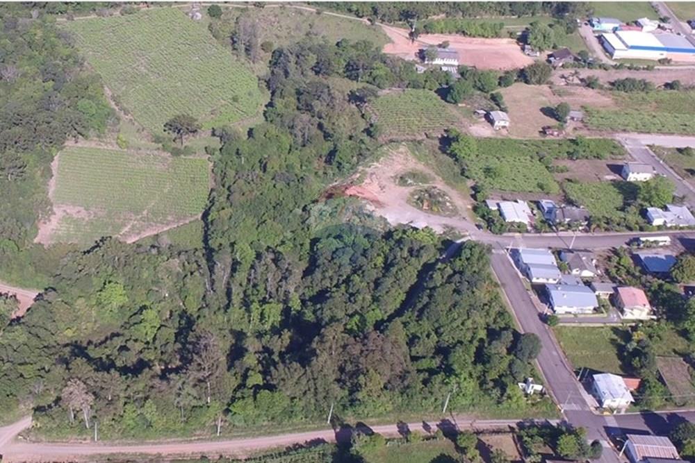 Terreno - Venda - Nova Pádua , Rio Grande do Sul - DJI_0066177.jpg - 612551039-219