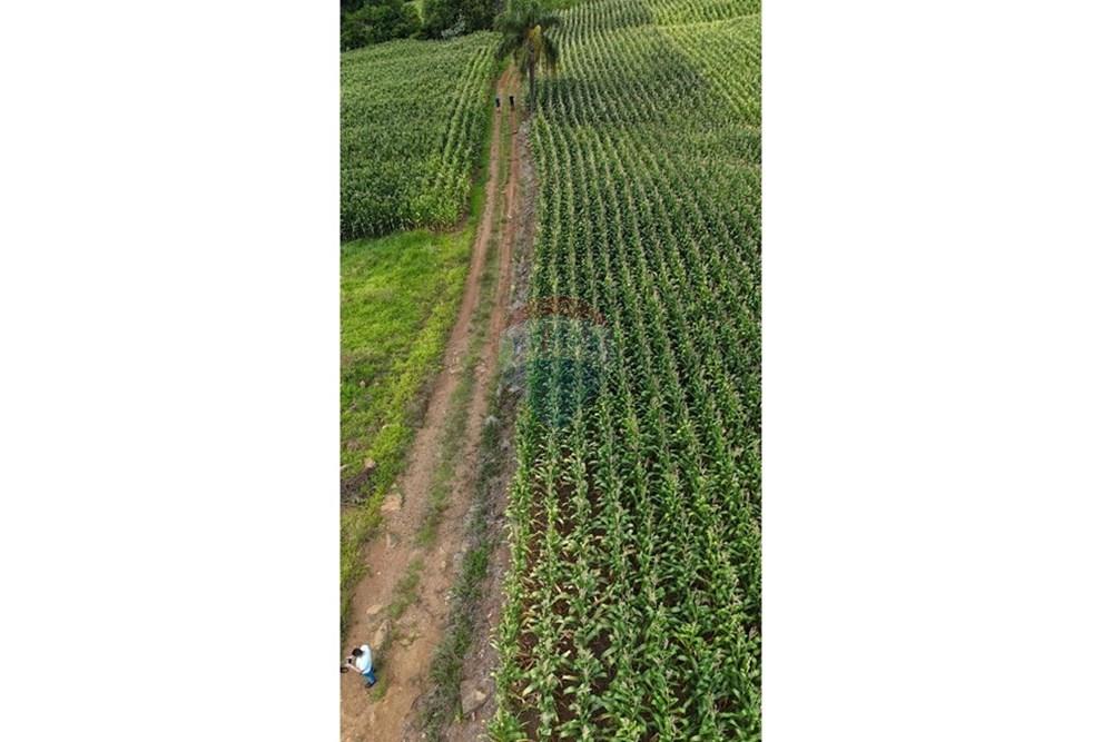 Chácara / Sítio / Fazenda - Venda - Gramado , Rio Grande do Sul - WhatsApp Image 2026-02-24 at 18.00.11 (3).jpeg - 610131034-44