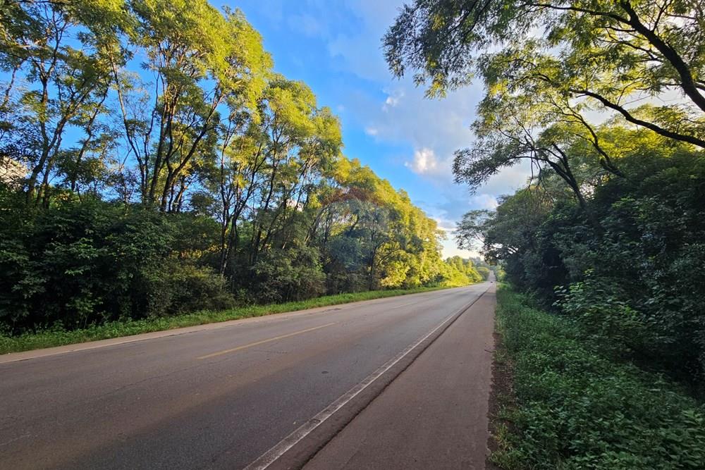 Terreno - Venda - Passo Fundo , Rio Grande do Sul - 20260218_183313.jpg - 612621034-49