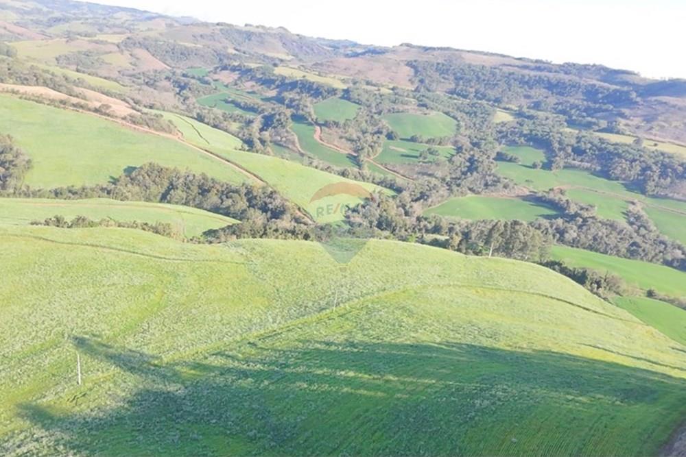 Agro - Venda - Três Palmeiras , Rio Grande do Sul - WhatsApp Image 2025-08-30 at 19.35.31 (1).jpeg - 610231001-210