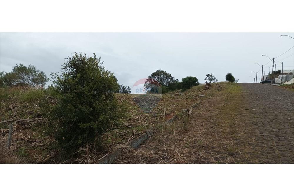 Terreno - Venda - Barão de Cotegipe , Rio Grande do Sul - FOTO REF. 06.jpg - 612761034-3