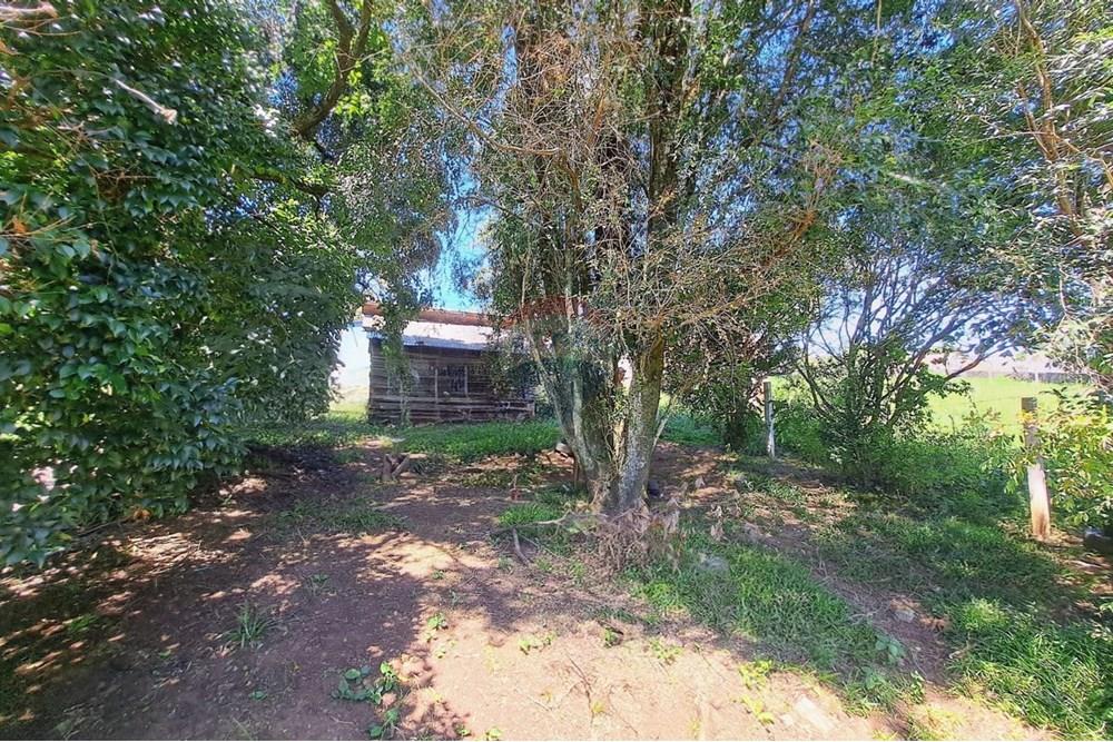 Terreno - Venda - Passo Fundo , Rio Grande do Sul - WhatsApp Image 2026-01-05 at 15.10.51 (1).jpeg - 610351082-4