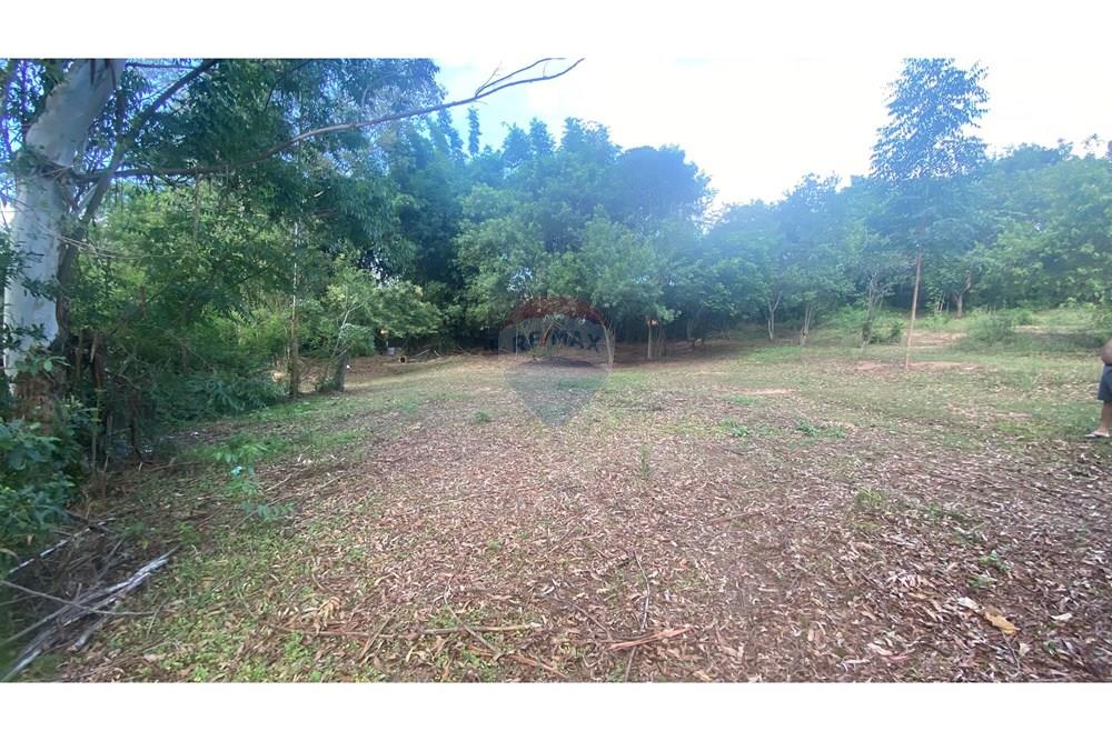 Chácara / Sítio / Fazenda - Venda - Rio Pardo , Rio Grande do Sul - IMG_5712.jpeg - 612741002-49