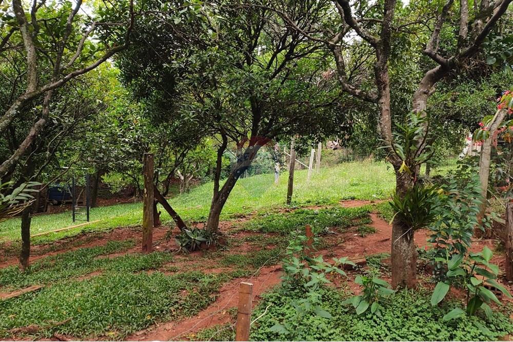 Casa - Venda - Passo Fundo , Rio Grande do Sul - WhatsApp Image 2023-12-04 at 20.22.04.jpeg - 612721013-66