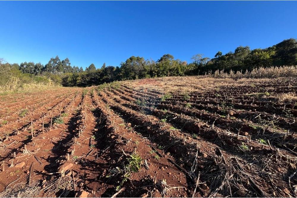 Chácara / Sítio / Fazenda - Venda - Santa Cruz do Sul , Rio Grande do Sul - WhatsApp Image 2025-07-21 at 10.35.21 (2).jpeg - 612741028-54