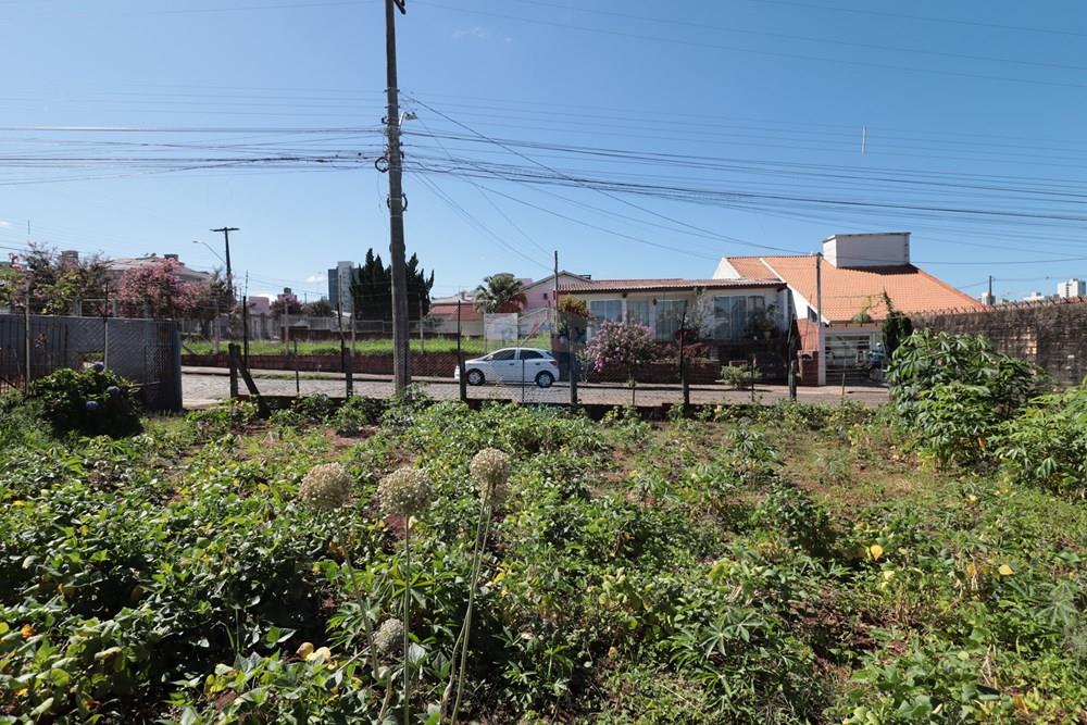 Terreno - Venda - Passo Fundo , Rio Grande do Sul - IMG_4884.JPG - 610271075-18