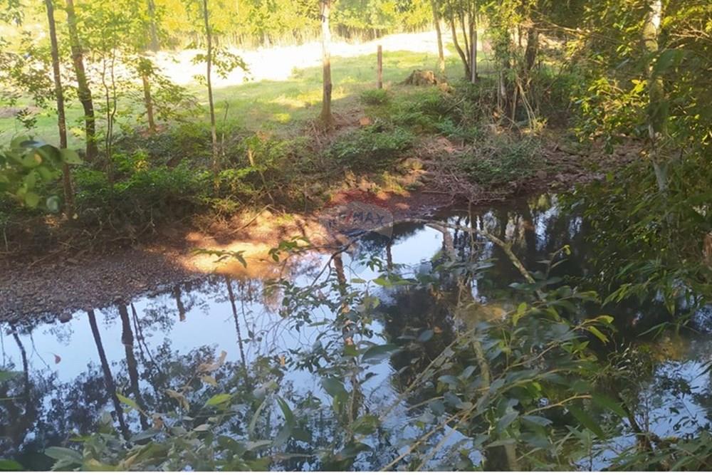 Terreno - Venda - Terra de Areia , Rio Grande do Sul - d58d5a4b-b7b4-45e7-a20b-8b4d90db49be.jpg - 612671028-42