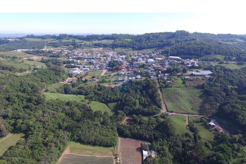 Terreno - Venda - Nova Pádua , Rio Grande do Sul - DJI_0050.jpg - 612551039-219