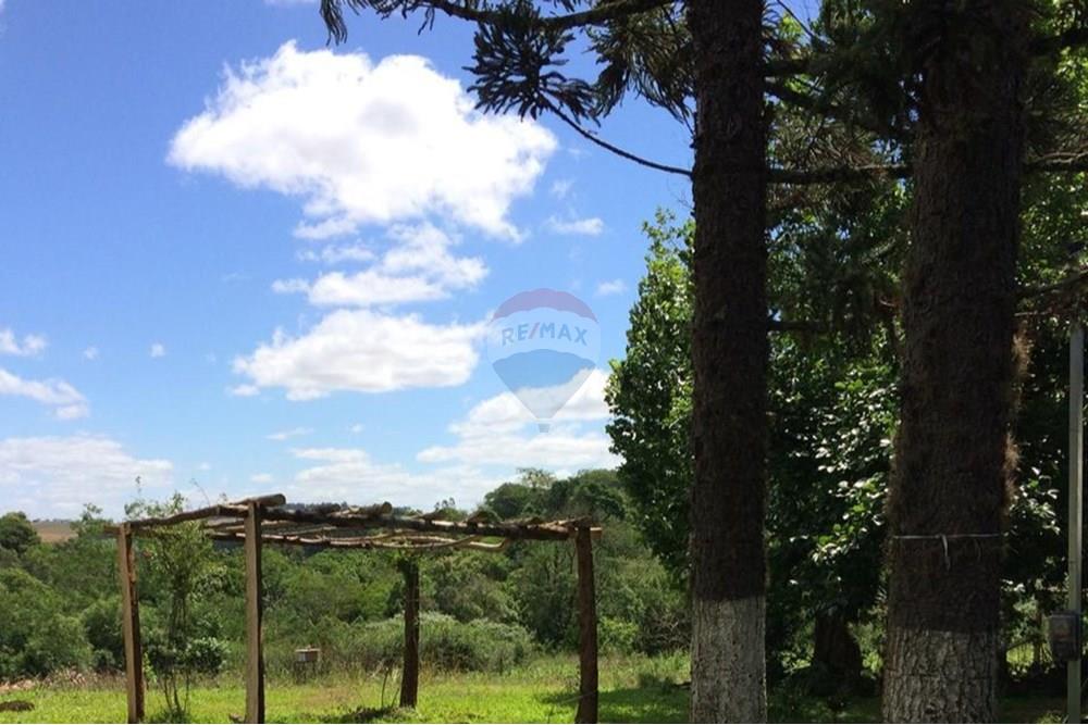 Chácara / Sítio / Fazenda - Venda - Sarandi , Rio Grande do Sul - WhatsApp Image 2025-07-03 at 11.17.26.jpeg - 610341006-382