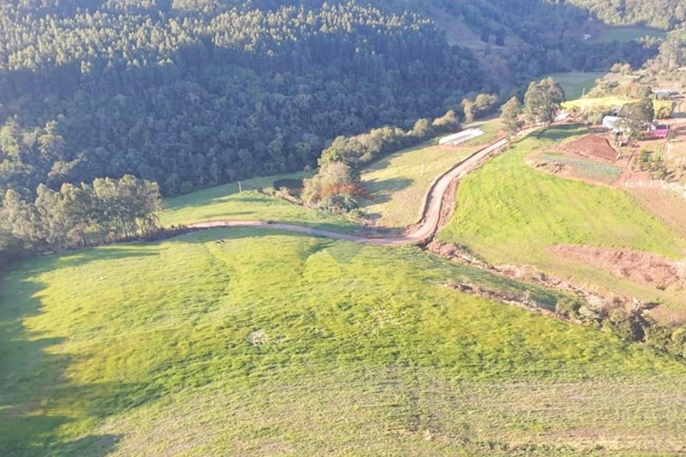 Agro - Venda - Três Palmeiras , Rio Grande do Sul - WhatsApp Image 2025-08-30 at 19.38.24 (2).jpeg - 610231001-208