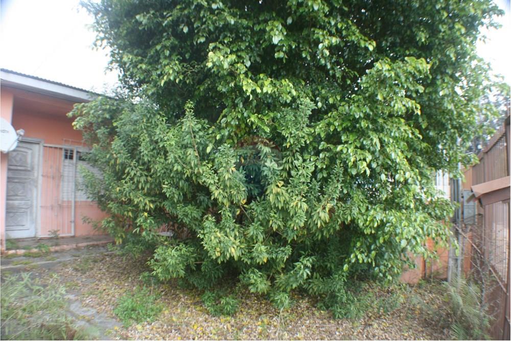 Terreno - Venda - Cachoeirinha , Rio Grande do Sul - IMG_4788.JPG - 612551022-106