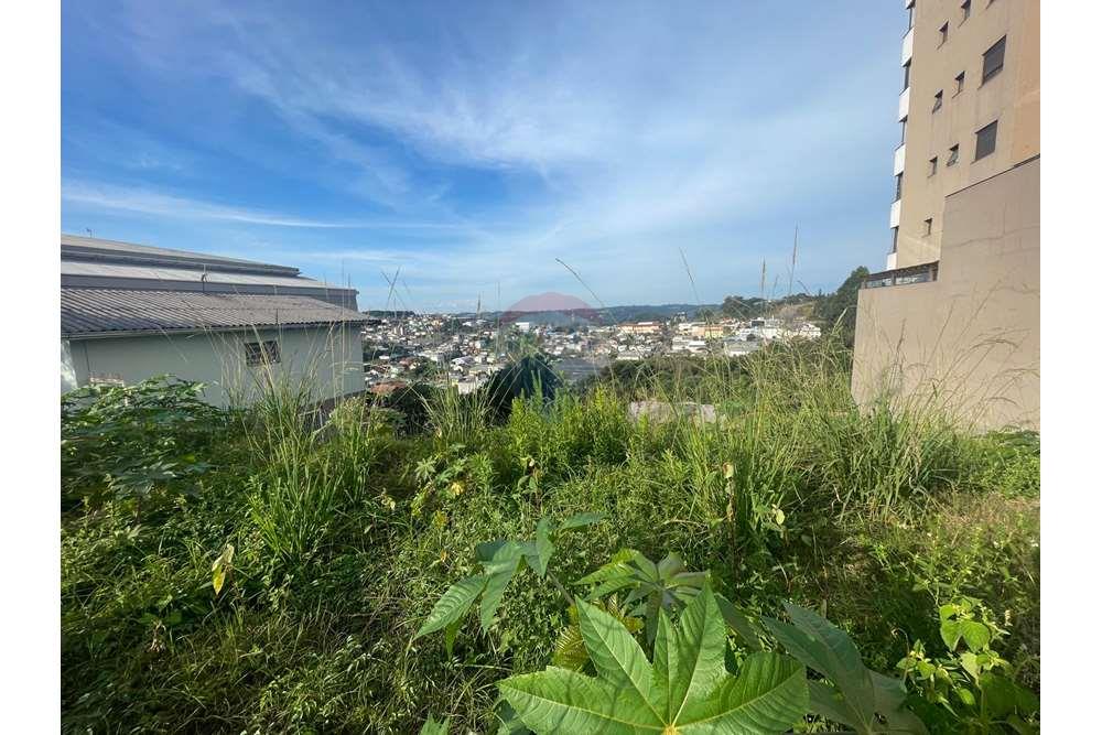 Terreno - Venda - Bento Gonçalves , Rio Grande do Sul - WhatsApp Image 2024-04-27 at 14.25.03.jpeg - 610331008-87