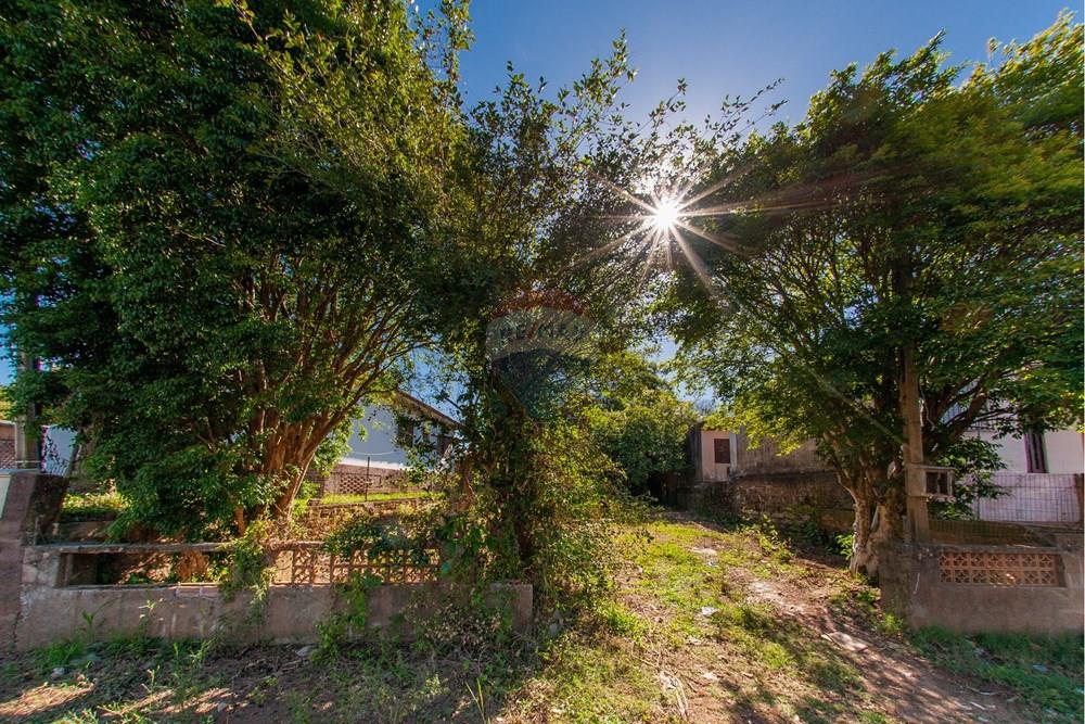 Terreno - Venda - Montenegro , Rio Grande do Sul - Foto-18.jpg - 610091005-85