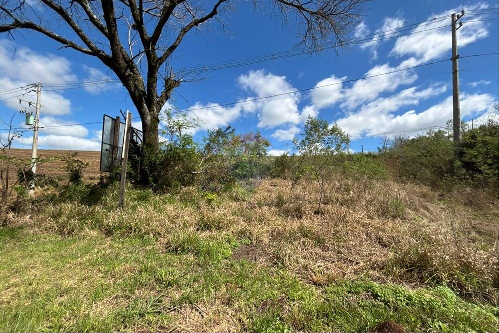 Terreno - Venda - Constantina , Rio Grande do Sul - WhatsApp Image 2025-09-10 at 13.24.23.jpeg - 610341005-74