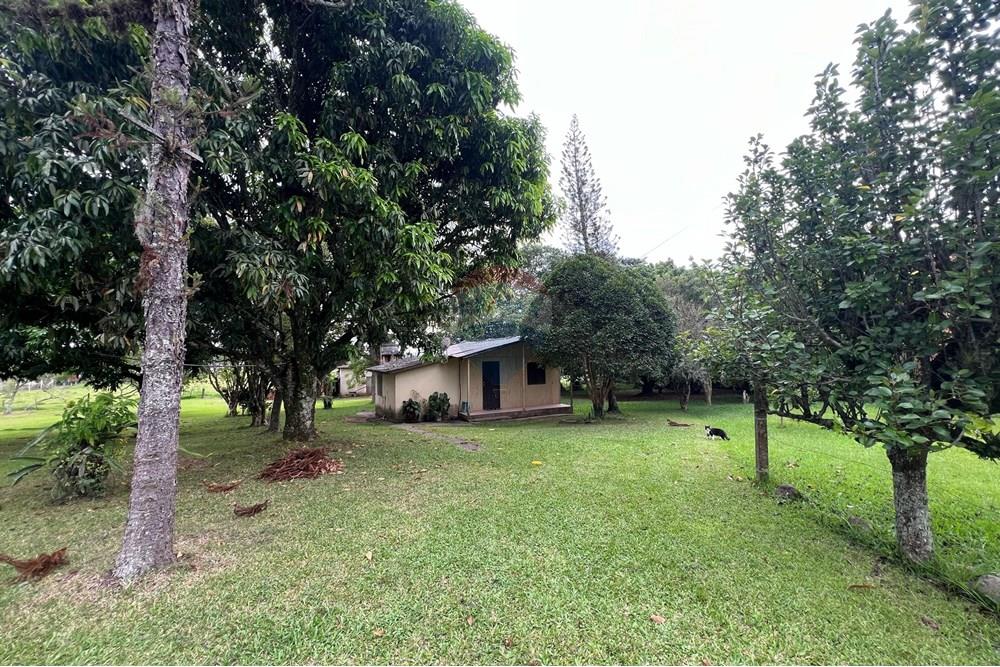 Chácara / Sítio / Fazenda - Venda - Glorinha , Rio Grande do Sul - IMG-20250403-WA0100.jpg - 610161100-29
