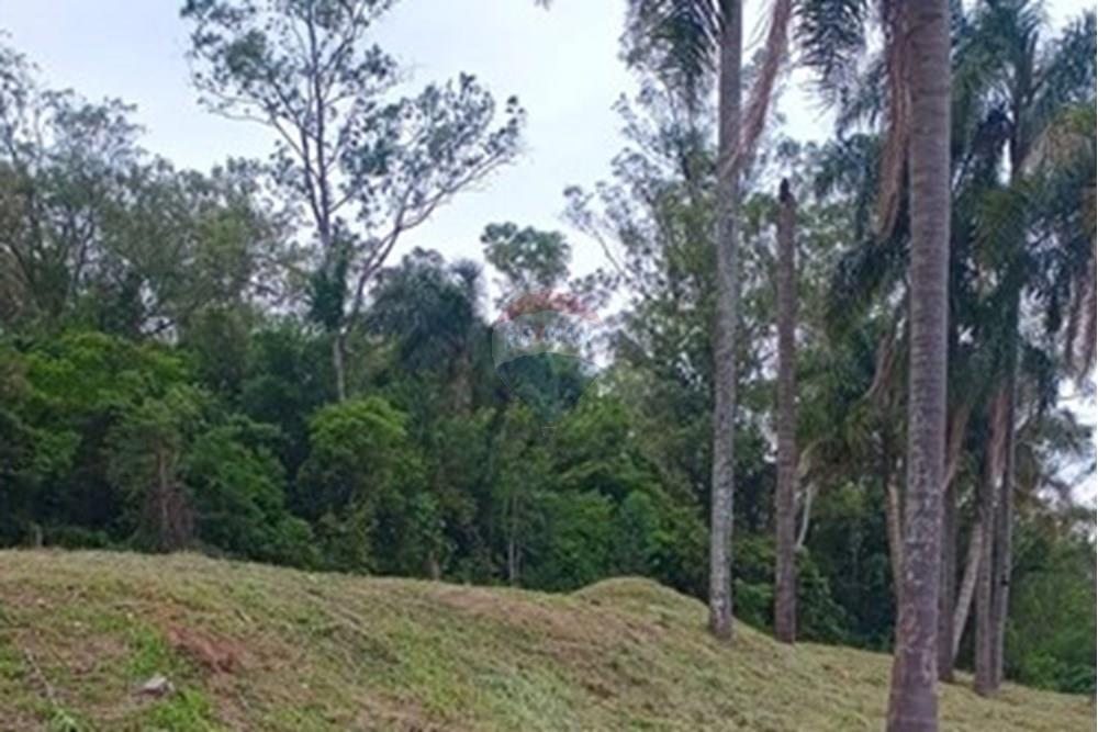 Terreno - Venda - Garibaldi , Rio Grande do Sul - WhatsApp Image 2025-10-31 at 15.00.08 (2).jpeg - 610331050-3