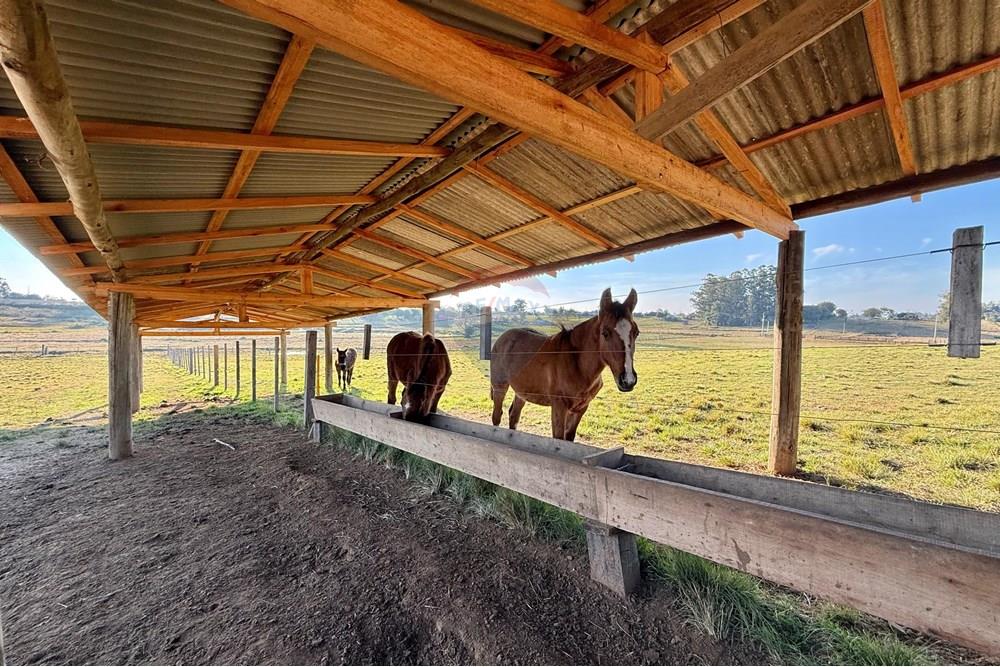 Chácara / Sítio / Fazenda - Venda - São Gabriel , Rio Grande do Sul - 48ea7671-ff35-4b38-be63-e771a09519c5.jpeg - 612631037-9