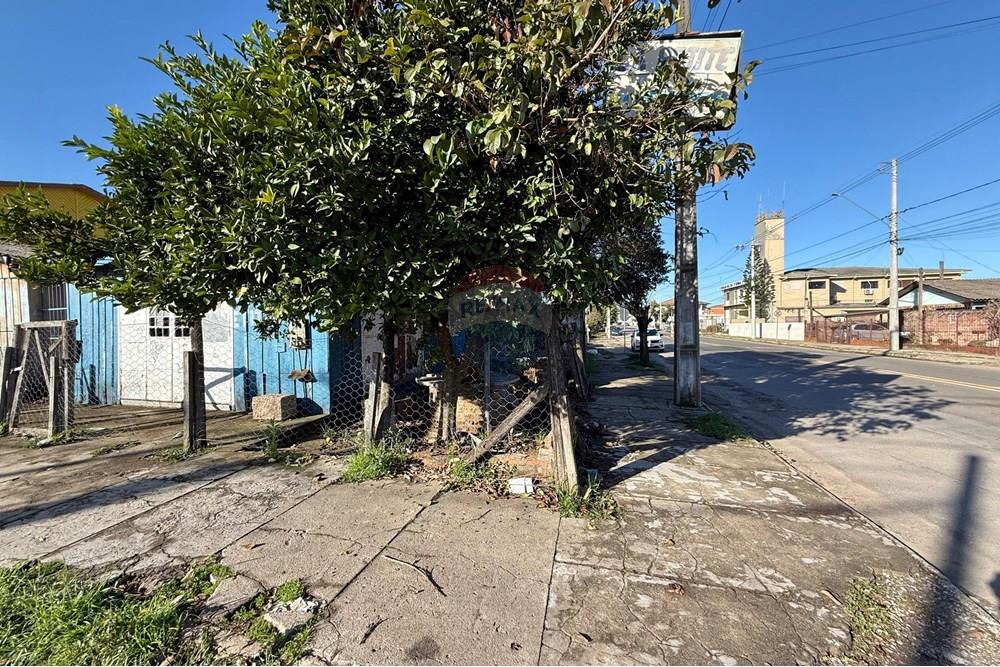 Terreno - Venda - São Gabriel , Rio Grande do Sul - 7ff04cca-05ad-4f10-8942-128ee8ad287f.jpg - 612631046-21