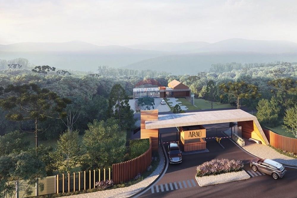 Terreno - Venda - São Francisco de Paula , Rio Grande do Sul - WhatsApp Image 2024-07-30 at 15.33.22.jpeg - 610131041-83