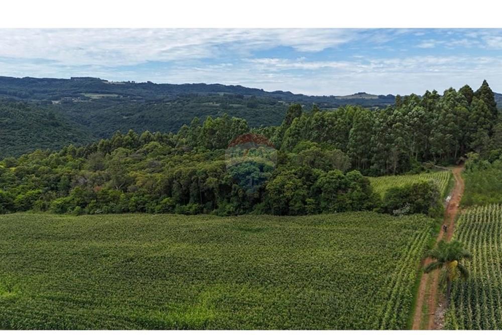 Chácara / Sítio / Fazenda - Venda - Gramado , Rio Grande do Sul - WhatsApp Image 2026-02-24 at 16.26.07 (7).jpeg - 610131034-44